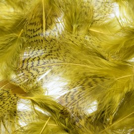 Veniard English Partridge Grey Neck Dyed 1g Yellow