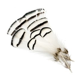 Wapsi Lady Amherst Pheasant 12 Tippets